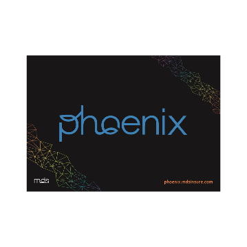 Phoenix launch